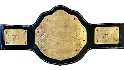 Ric Flair Signed Autographed Custom Black & Gold Belt JSA  display picture 3