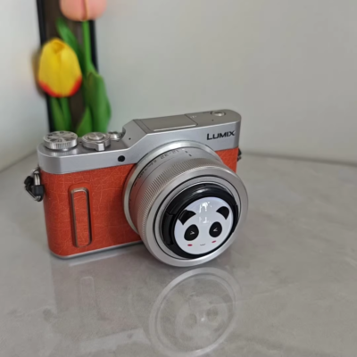 Panasonic LUMIX DC-GF10 W/12-32mm lens Digital Camera WiFi