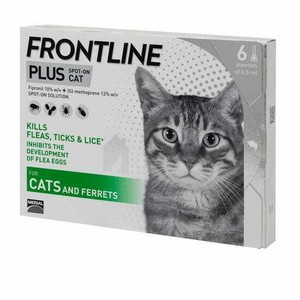 frontline cat spot on