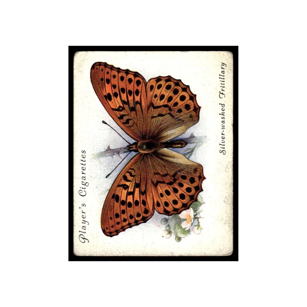 Silver-Washed Fritillary 1934 #11.0 VG