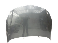 Motorhaube Frontklappe Haube 13248744 20970122 für Opel Insignia A 08-13 GAL