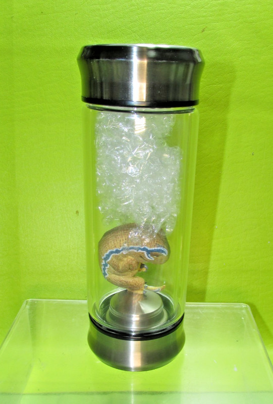 Jurassic World Velociraptor Dinosaur Embryo Light up Water  Glass Jar  Prop New