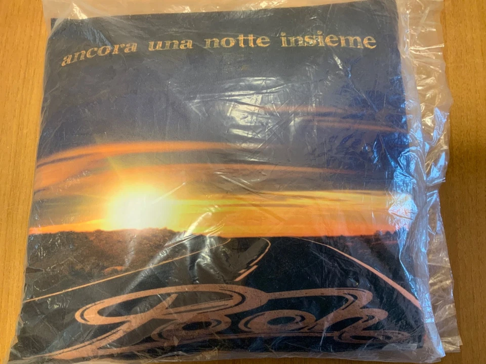 POOH CUSCINO GADGET UFFICIALE ANCORA UNA NOTTE INSIEME NUOVO IDEA REGALO NATALE - Immagine 4 di 4