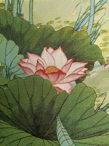 Exquisites chinesisches altes Seidenstickerei Gemälde "Lotusfisch" - Bild 5 von 6