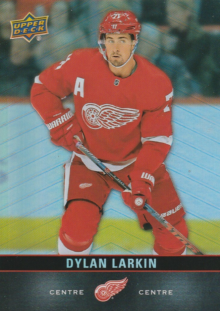 2019/2020 HOCKEY CARD TIM HORTONS - DYLAN LARKIN # 110