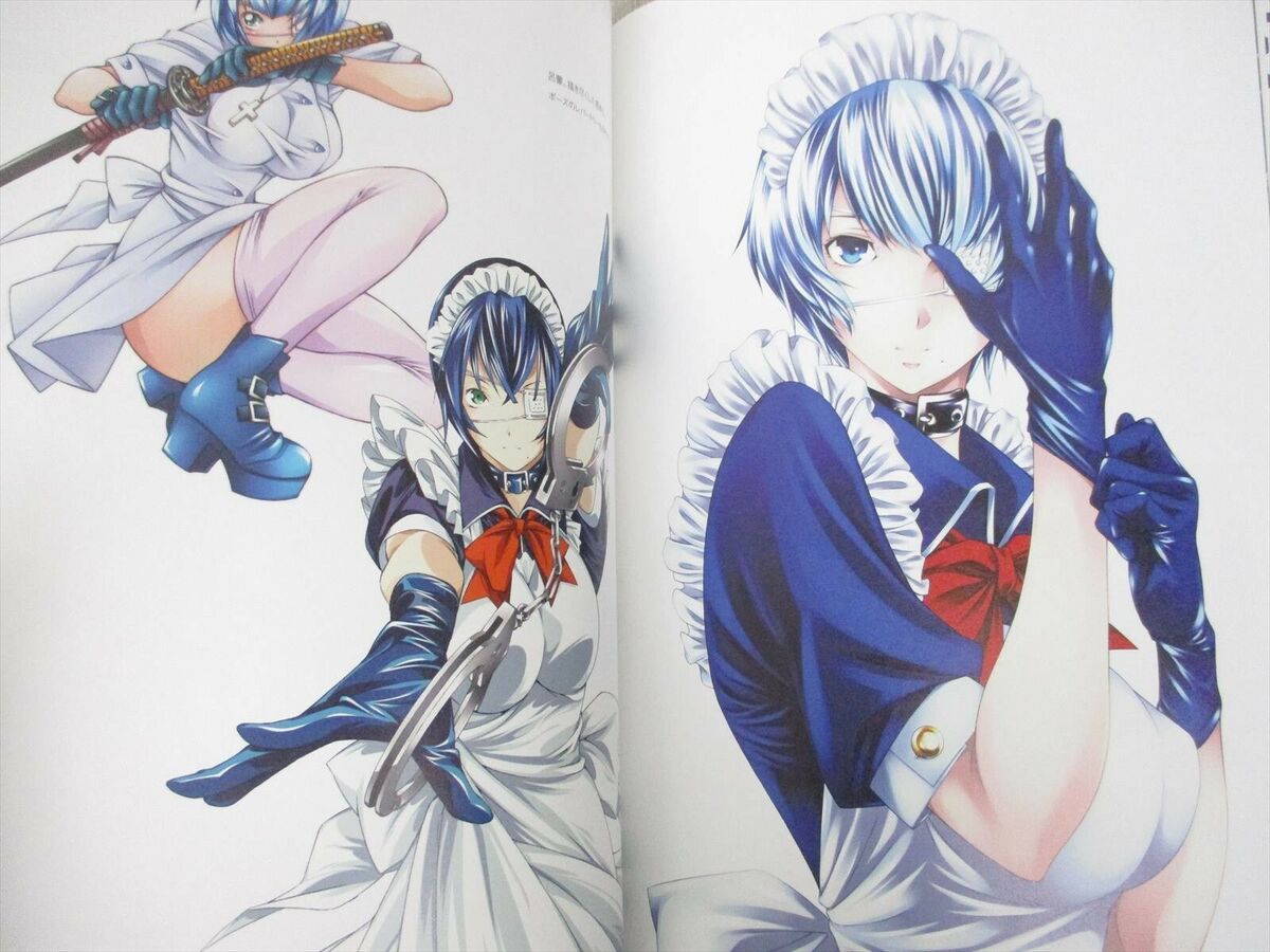 Ikki Tousen Animation Art Works Vol.2 - Tokyo Otaku Mode (TOM)