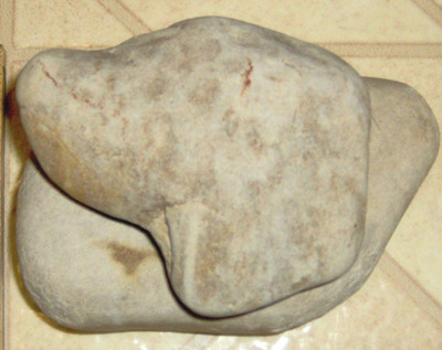 RIVER ROCK DOG HEAD Shape PaperWeight Pet headstone Memorial Reedy Creek Stone