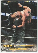 2018 Topps WWE Akam #3