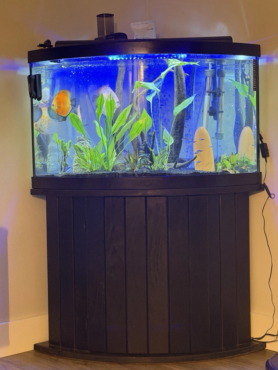 Rectangle (Standard) Aquariums & Tanks 65 gal. Tank Capacity for