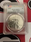 Silver Eagle