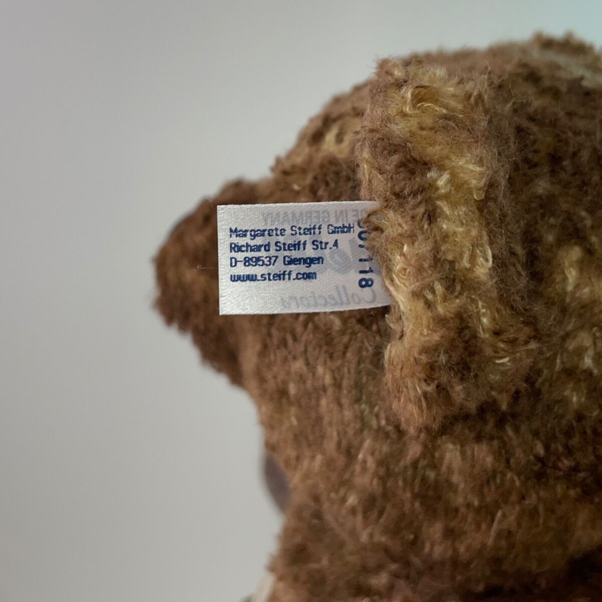 Steiff 55PB, Teddies for Tomorrow. New update on an original Steiff 55PB, Teddies for Tomorrow. New update on an original