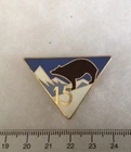 FRANCE 2°GM INFANTRY - insignia 15° R.I.A.  Alpine Infantry Regiment