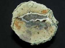 Achat , Agate , Baumgartental , Thüringen