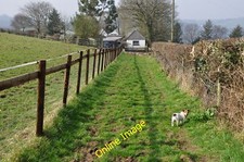 Photo 6x4 Mid Devon : Grassy Path to Saddle Stones Bampton/SS9522 A gras c2012
