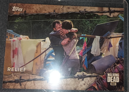 TWD Michonne and Rick Relief trading card