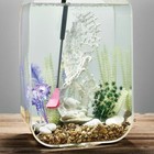 Foto 9 di 32