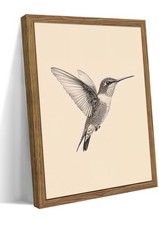 Vintage Framed Wall Art, Birds Canvas Prints, Hummingbird Sketch Painting Pic...