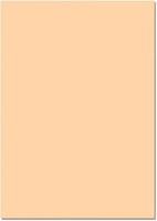 folia 61/25 10 Fotokarton 300G/M², 50X70Cm Chamois 25 StüCk Bastelkarton