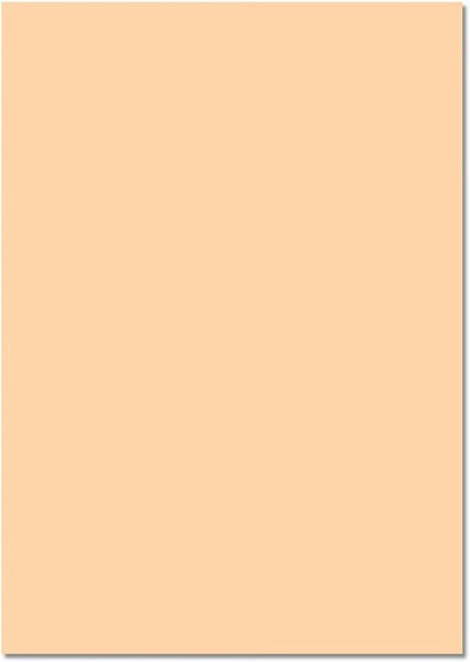 folia 61/25 10 Fotokarton 300G/M², 50X70Cm Chamois 25 StüCk Bastelkarton-image