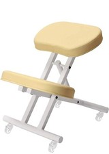 Master Massage Ergonomic Steel Kneeling Chair Prefect for Home, Office 10147 