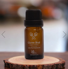 HERBATICA Clove Bud Essential Oil 100 Natural Pure Therapeutic Grade 10ML