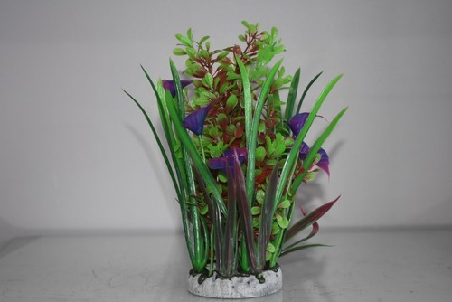 Aquarium Bushy Ring Plants approx 21 cms high Red Green Purple Colour - Picture 5 of 5