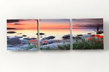 3 Piece Canvas Art Print Set, Lake Ocean View Red Flowers, 8in Squares