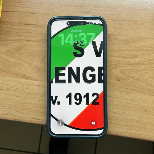 Apple iPhone 15 Pro Max 256GB Blau Dreifach-Kamera iOS gebraucht