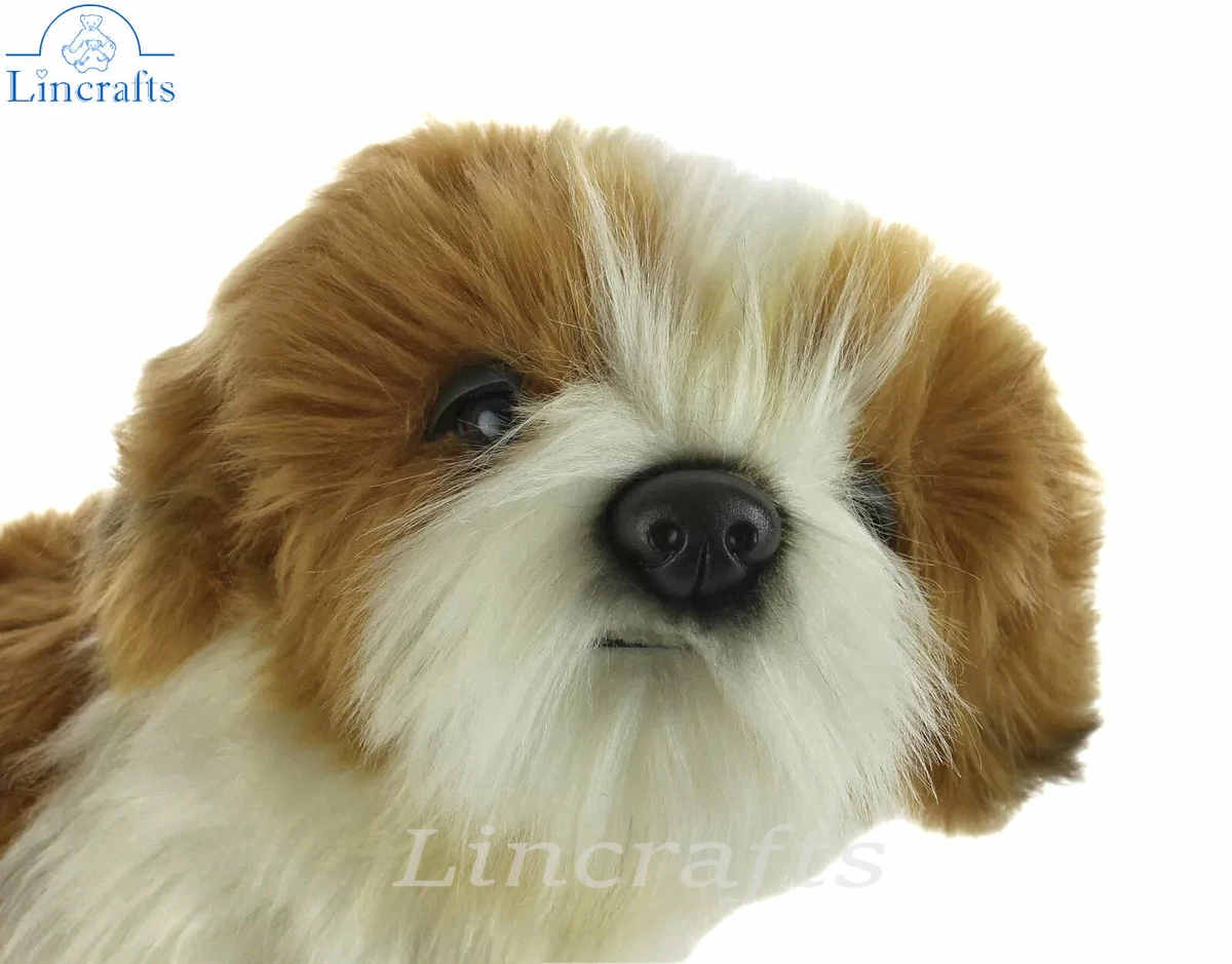 Shih tzu sale cuddly toy uk