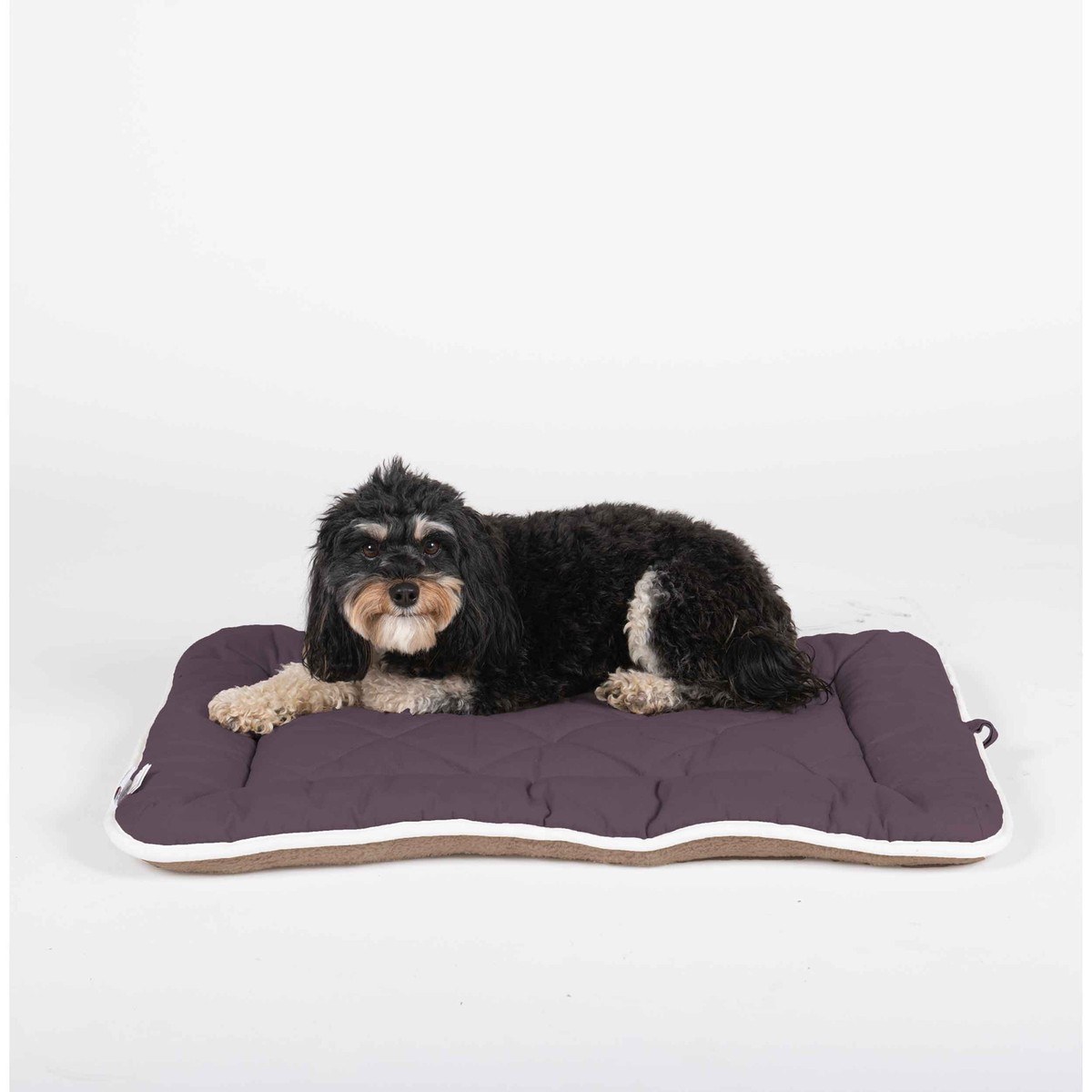DGS Pet Products Pet Cotton Canvas Sleeper Cushion Extra Small 15