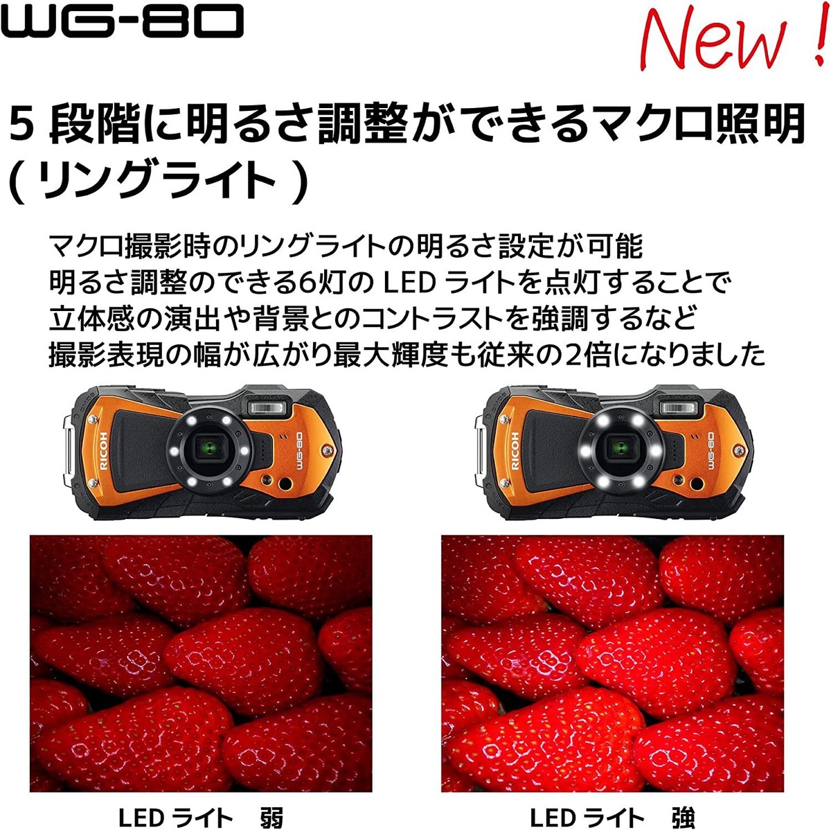 RICOH Digital Camera WG-80 Orange Waterproof New in Box | eBay