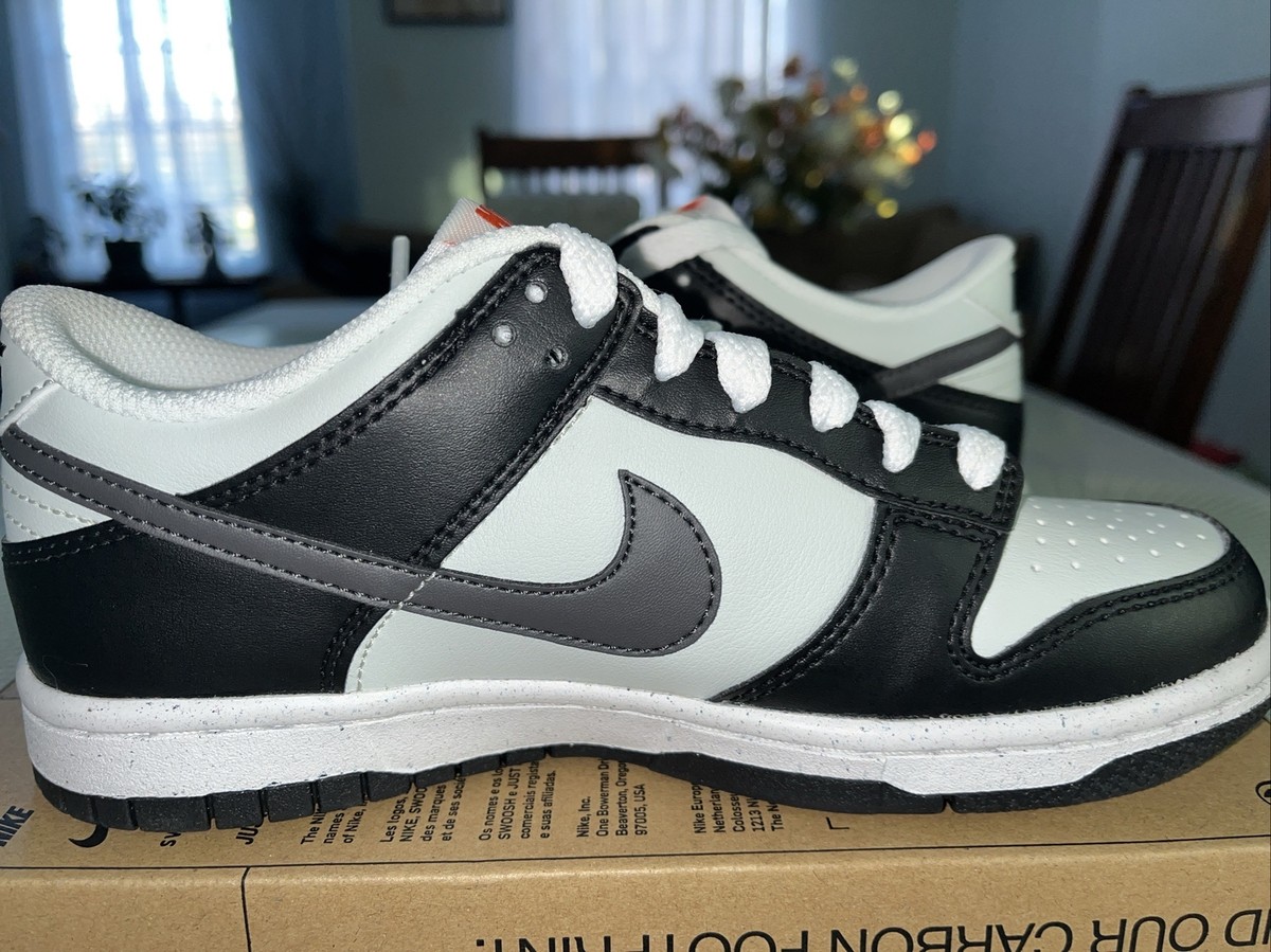 Nike Dunk Low Black Medium Ash Light Silver FN7784-001 GS Size 3.5
