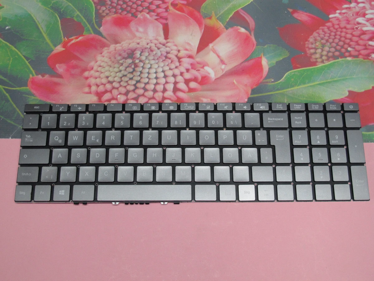 Original Tastatur Medion Akoya S17405 MD 61931 MD 62075 ohne 