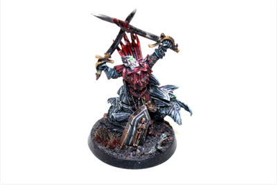 Warhammer Vampire Counts Soulblight Gravelords Vampire Lord Well Painted JYS20