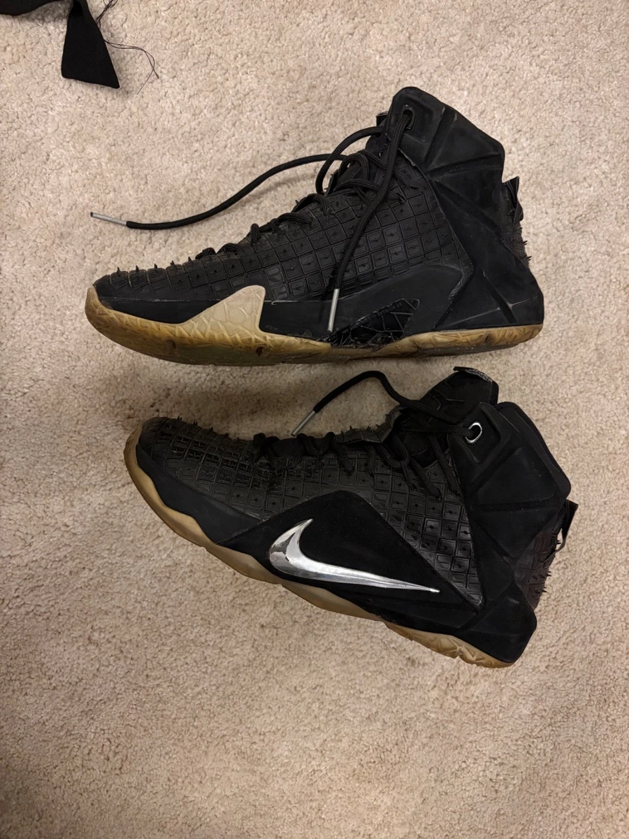 Nike LeBron XII Men display picture 1