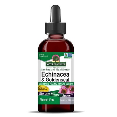 Nature s Answer Echinacea & Goldenseal alkoholfreier Kräuterextrakt 120ml