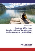Mesganaw Ayalew | Factors Affecting Productivity Of Employees In The...