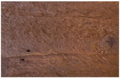 Native Trails DS80 Americana Finish Sample - Chestnut