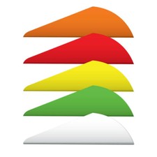 Gold Tip Raptor 2 Vane Flo Green/Red/White - ...
