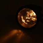 Bild 10 von 10