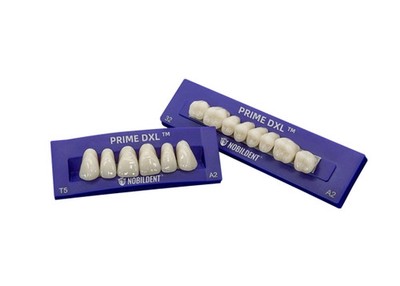 Prime DXL Artificial Dental Acrylic Resin False Denture Teeth Lower Posterior
