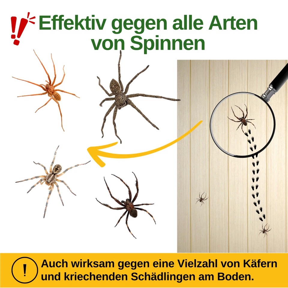 3 bis 15x Fallen - Spinnenfalle, Spinnen Klebefalle,  Wirksam Spinnen bekämpfen - Bild 2 von 4