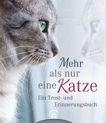 Mehr als nur eine Katze Kristin Hoffmann