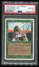 MTG Magic 1995 Chronicles Scavenger Folk PSA 10 Gem Mint
