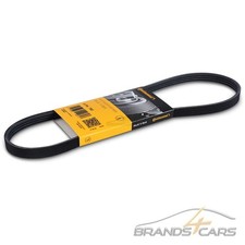 CONTI KEILRIPPENRIEMEN FÜR BMW 3-ER E36 5-ER E34 E39 HYUNDAI KIA PICANTO MAZDA