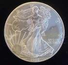 1996 American Eagle Toned Walking Liberty Bullion-0.999 Silver 1 Oz Coin 3y