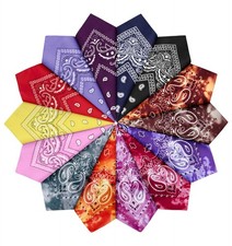 14 pieces Bandanas Paisley Print Novelty Headband Cowboy Headwraps Scarfs Hai...