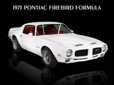 1973 Pontiac Firebird Formula Metal Sign Large Size 12 X 16 - Free Shipping