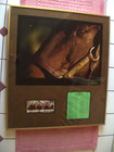 SEATTLE SLEW SIGNED FRAMED PRINT KENTUCKY DERBY TRIPLE CROWN WINNER — photo 1