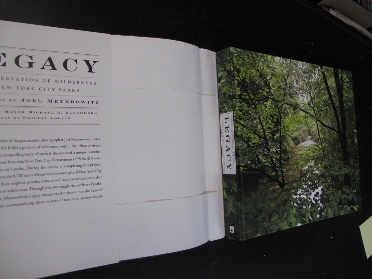 Outdoors Nature Photography Joel Meyerowitz Legacy New York City